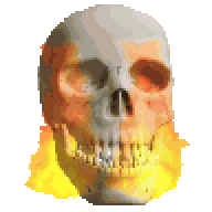 Flaming Skull